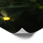 Vuurvliegjes onder de sterren poster (Hoek)