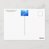 Vuurvogel Briefkaart (Achterkant)