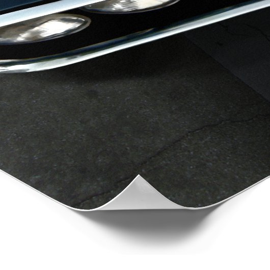 Vuurvogel Poster (Hoek)