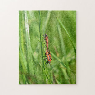 Vuurwantsen in groene natuur legpuzzel