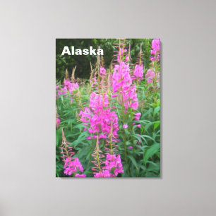 Vuurweed Canvas Afdruk
