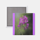 Vuurweed Magneet (Voorkant / Achterkant)