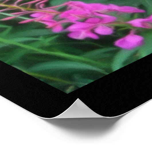 Vuurweed Poster (Hoek)