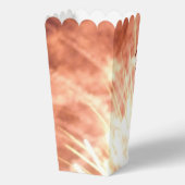 Vuurwerk 12 4 juli popcorn dozen bedankdoosjes (Achterkant)