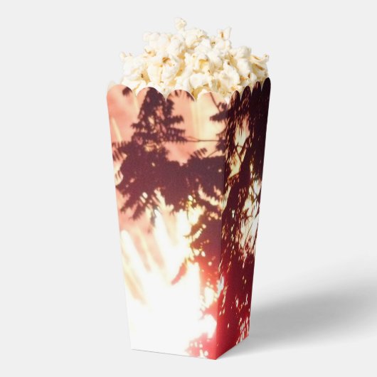 Vuurwerk 12 popcornboxen bedankdoosjes (Popped)