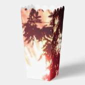 Vuurwerk 12 popcornboxen bedankdoosjes (Voorkant)