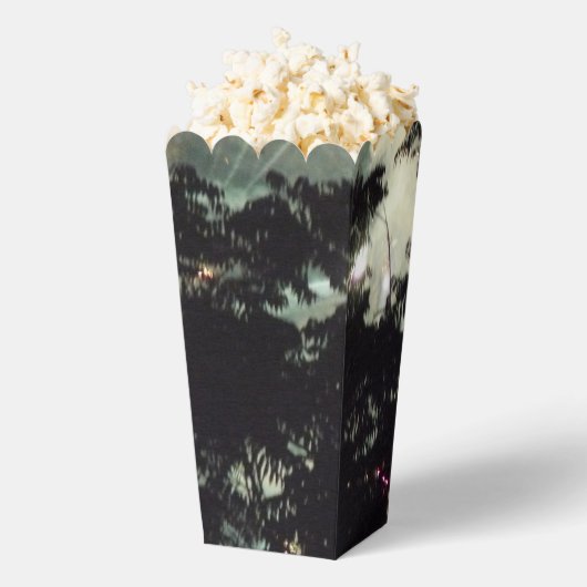 Vuurwerk 13 popcornboxen bedankdoosjes (Popped)