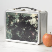 Vuurwerk 13 roestvrij lunchbox (In situ)