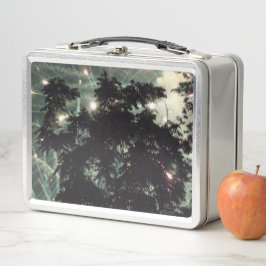 Vuurwerk 13 roestvrij lunchbox