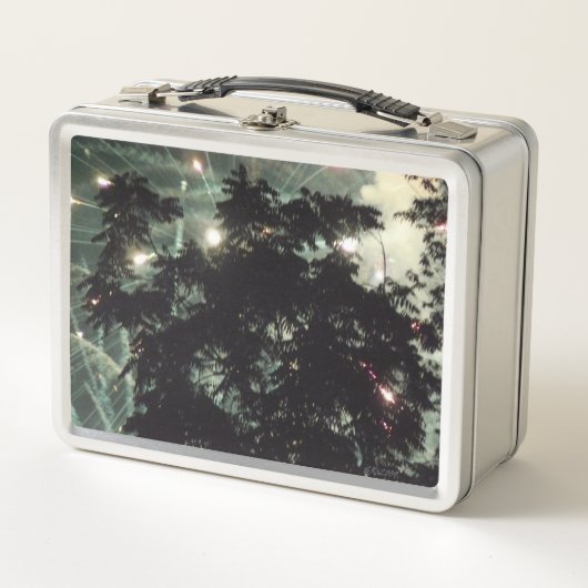 Vuurwerk 13 roestvrij lunchbox (Voorkant)