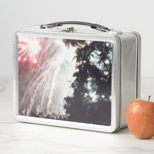 Vuurwerk 14 roestvrij lunchbox (In situ)