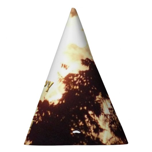 Vuurwerk 15 4 juli feest pet feesthoedjes (Rechts)