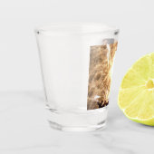 Vuurwerk 15 borrelglas shot glas (Links)