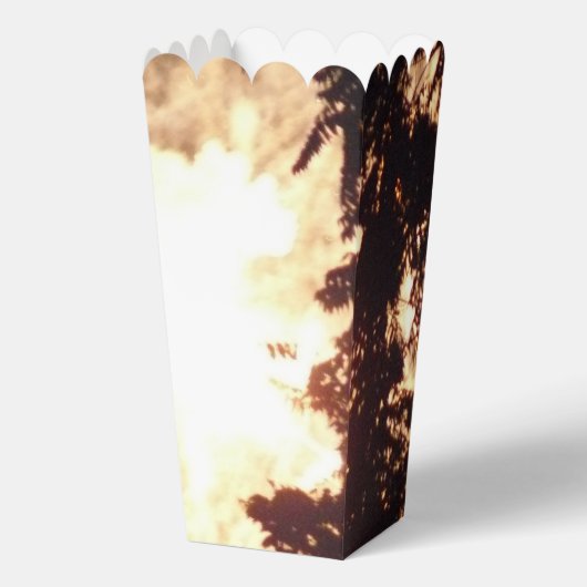 Vuurwerk 15 popcornboxen bedankdoosjes (Voorkant)