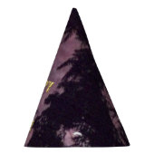 Vuurwerk 16 4 juli feest pet feesthoedjes (Rechts)