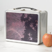 Vuurwerk 16 roestvrij lunchbox (In situ)