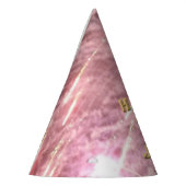 Vuurwerk 17 4 juli feest pet feesthoedjes (Links)