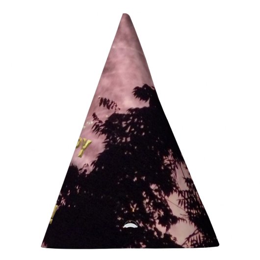 Vuurwerk 17 4 juli feest pet feesthoedjes (Rechts)