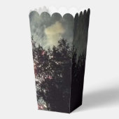 Vuurwerk 17 popcornboxen bedankdoosjes (Voorkant)