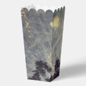 Vuurwerk 19 4 juli popcorn dozen bedankdoosjes (Achterkant)