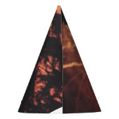 Vuurwerk 20 4 juli feest pet feesthoedjes (Achterkant)