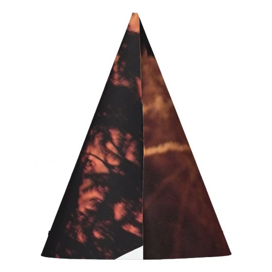 Vuurwerk 20 4 juli feest pet feesthoedjes (Achterkant)