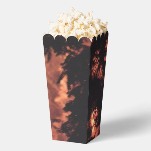 Vuurwerk 20 popcorndozen bedankdoosjes (Popped)