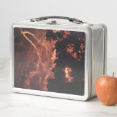 Vuurwerk 20 roestvrij lunchbox (In situ)
