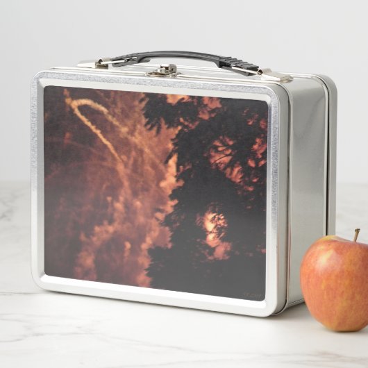 Vuurwerk 20 roestvrij lunchbox (In situ)