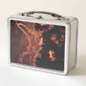 Vuurwerk 20 roestvrij lunchbox (Voorkant)