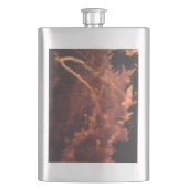 Vuurwerk 20 roestvrij stalen kolf flacon (Voorkant)