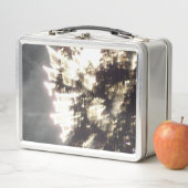 Vuurwerk 2 roestvrij lunchbox (In situ)