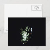 Vuurwerk! 4 juli Design Briefkaart (Voorkant / Achterkant)