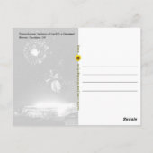 Vuurwerk boven Cleveland Browns Stadium - briefkaa Briefkaart (Achterkant)