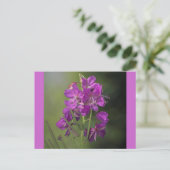 Vuurwerk Briefkaart (Staand voorkant)