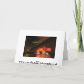 Vuurwerk Feestdagen Kaart (Achterkant)