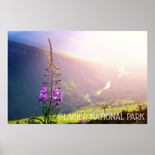 Vuurwerk in Glacier National Park Poster (Voorkant)