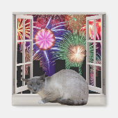 Vuurwerk Magneet (Voorkant)