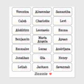 Vuurwerk Meerdere naamstickers Sticker (Vel)