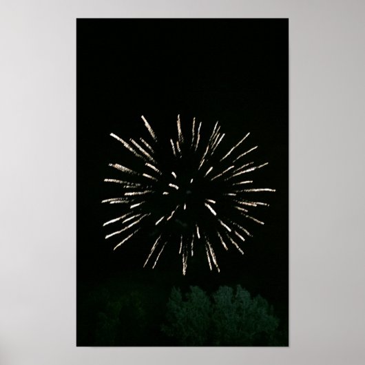 Vuurwerk met boom poster (Voorkant)