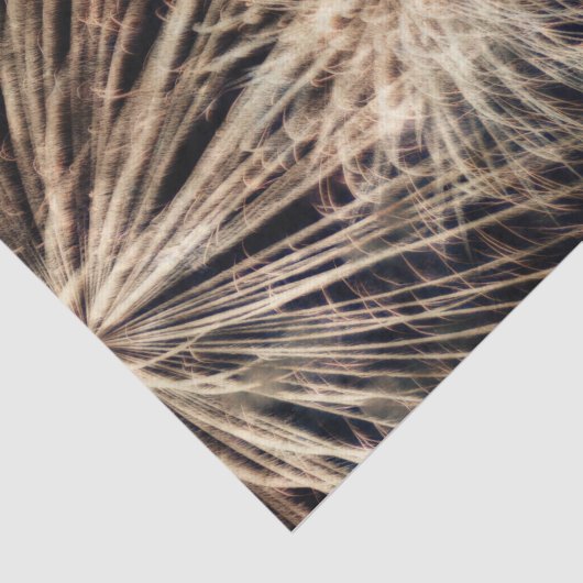 Vuurwerk Onafhankelijkheidsdag Gold Black 4 juli Tissuepapier (Detail)