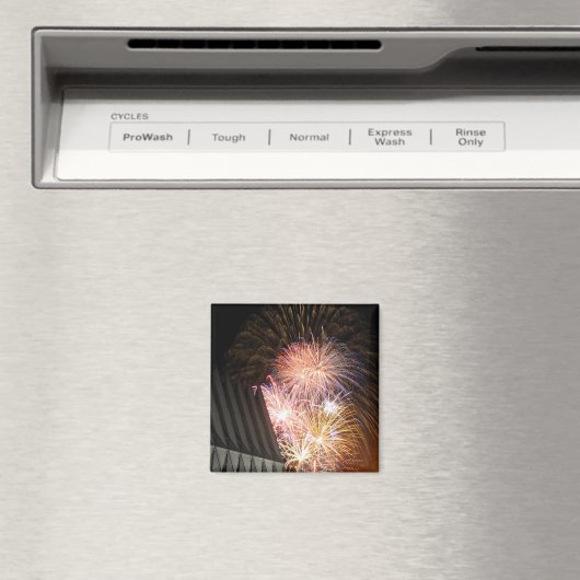 Vuurwerk ontploft magneet (Insitu (Vaatwasser))