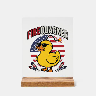Vuurwerk Patriottische Eend Vuurwerk Vectorontwerp Acryl Bord