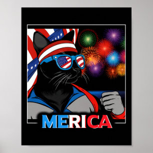 Vuurwerk Patriottische Zwarte Kat Poster