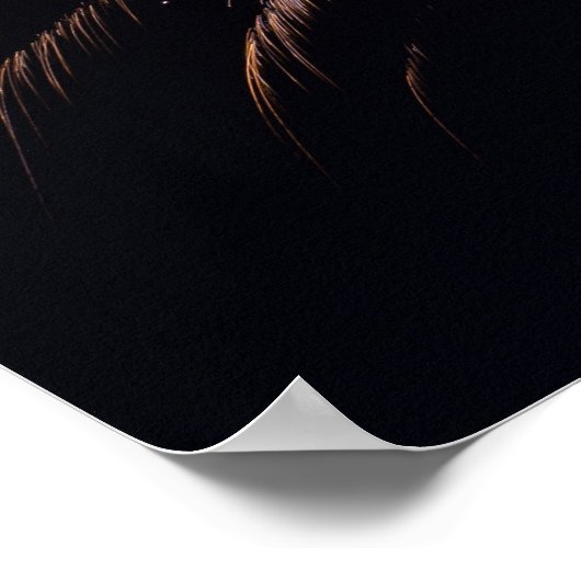 Vuurwerk poster (Hoek)