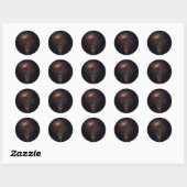Vuurwerk Ronde Sticker (Vel)
