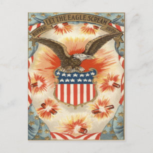 Vuurwerk van Bald Eagle American Flag Shield Briefkaart