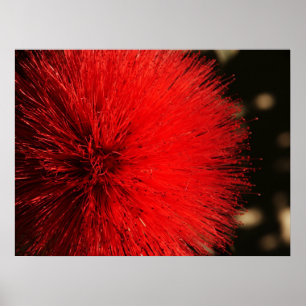 Vuurwerk van de natuur poster