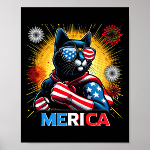 Vuurwerk Vs Vlag Patriottische Zwarte Kat  Poster