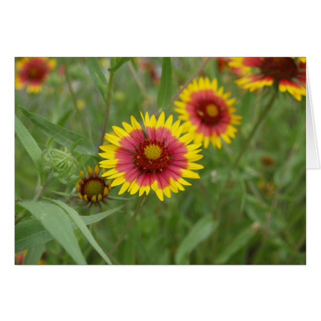 Vuurwiel (Voorkant Horizontaal)